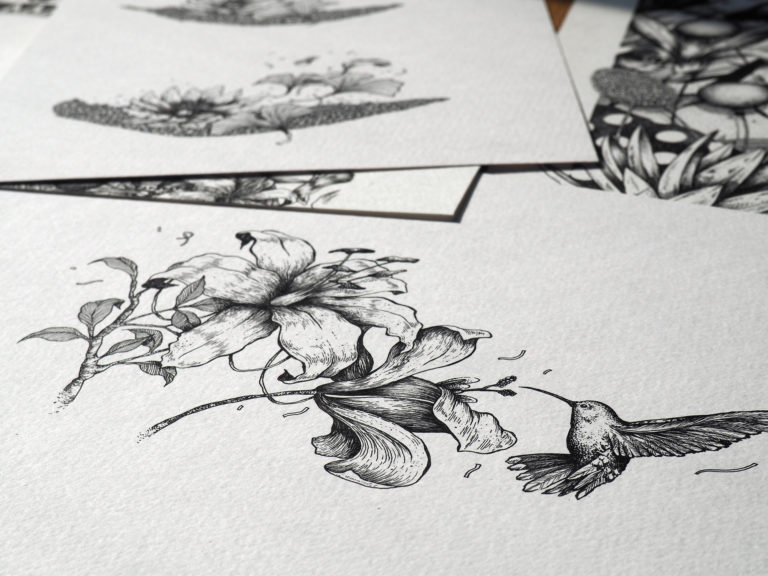 illustration Missy