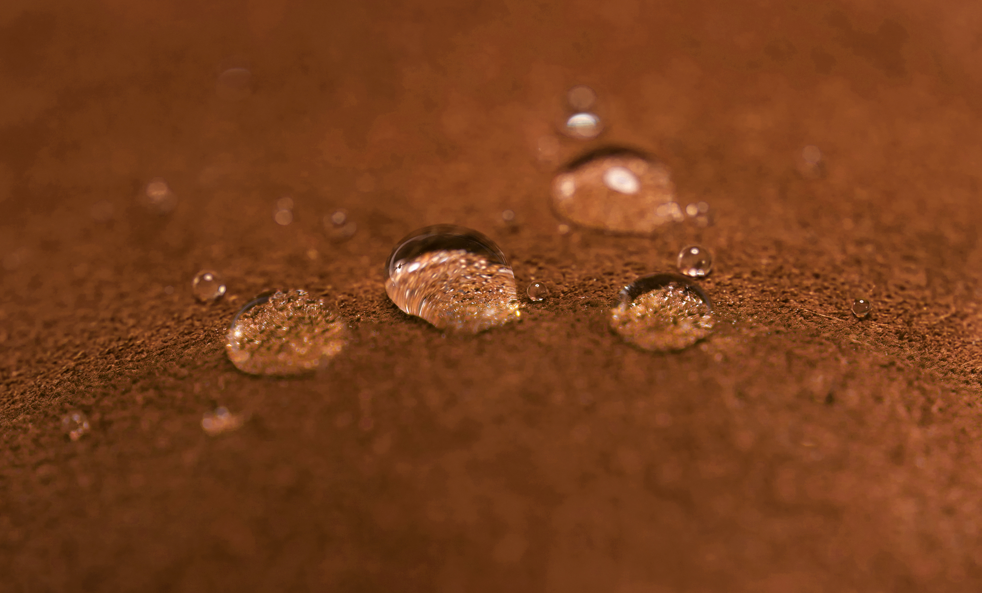 Cuir Hydrovelours : comment entretenir ce cuir épais et résistant ?